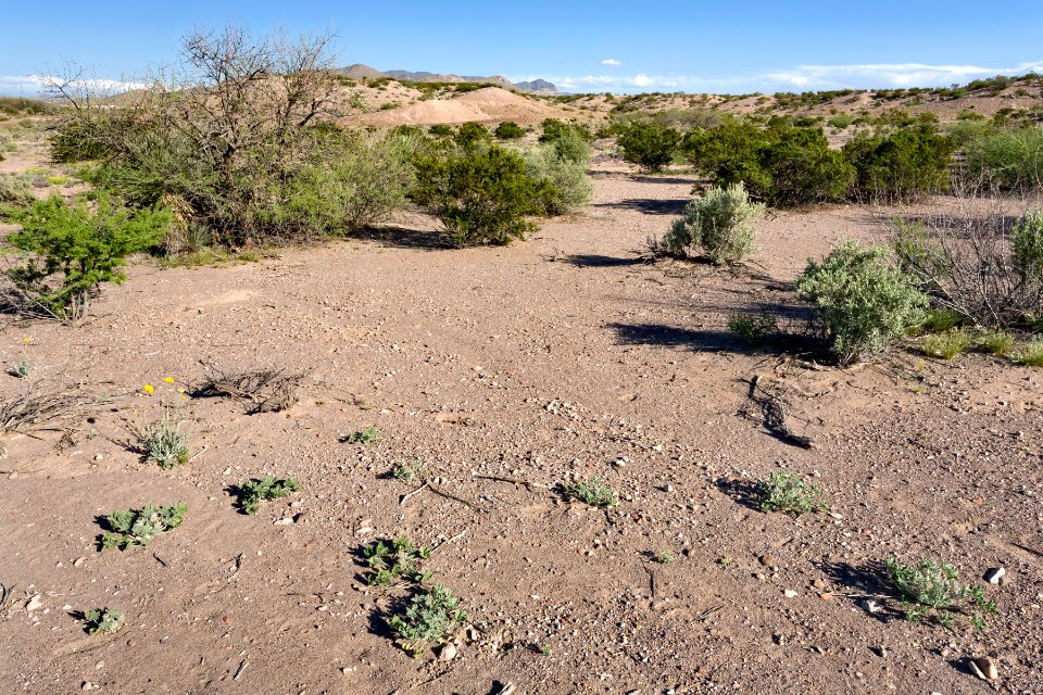 Near Slick Rock Wash