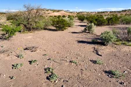 Near Slick Rock Wash