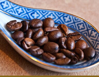Roasted coffee arabica robusta photo