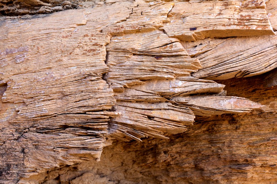 Abo Formation laminated sandstone