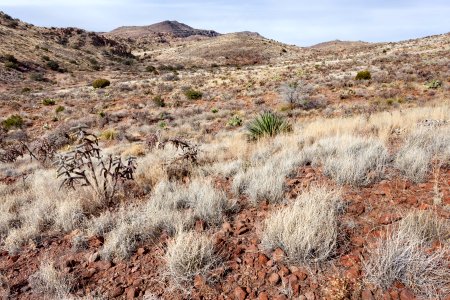 Alamo Hueco Mountains
