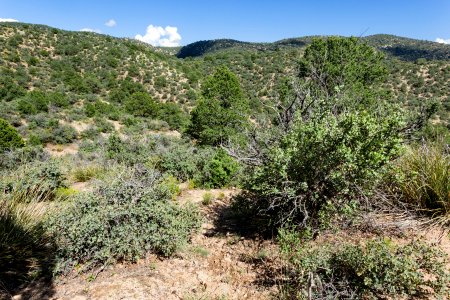 Near Sawmill Canyon