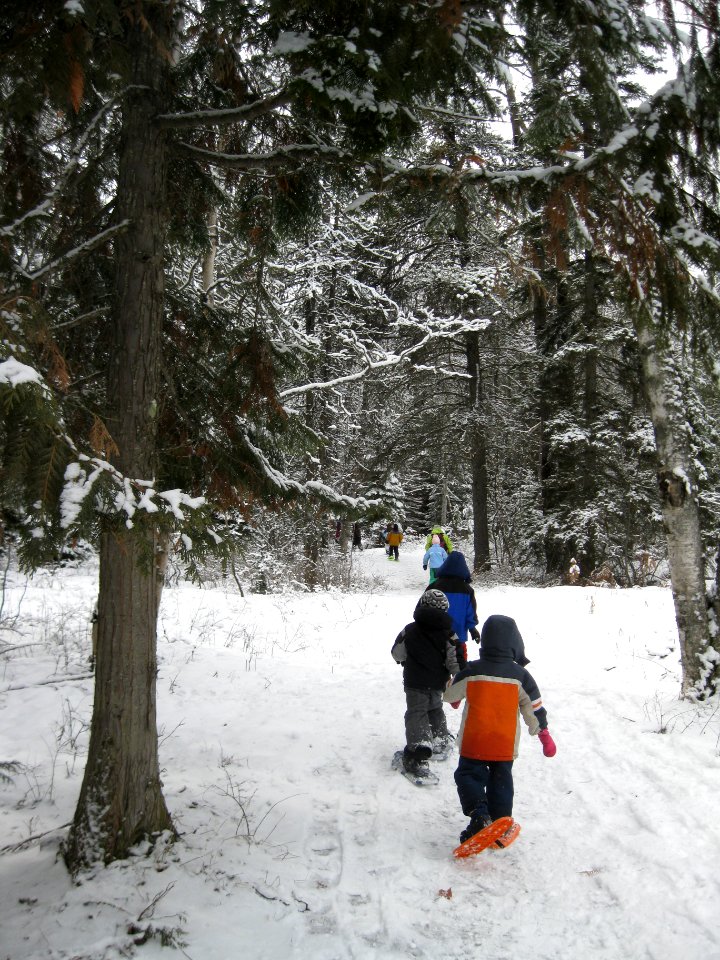 Winter Ecology Education