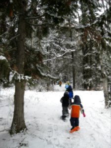 Winter Ecology Education