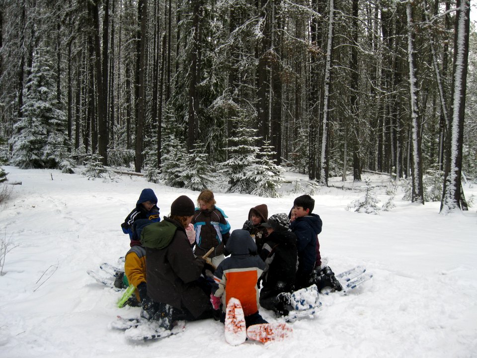 Winter Ecology Education