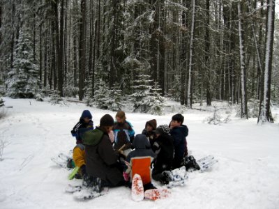 Winter Ecology Education