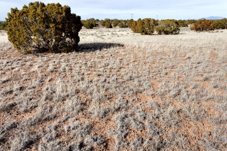 East-southeast of Twin Hills