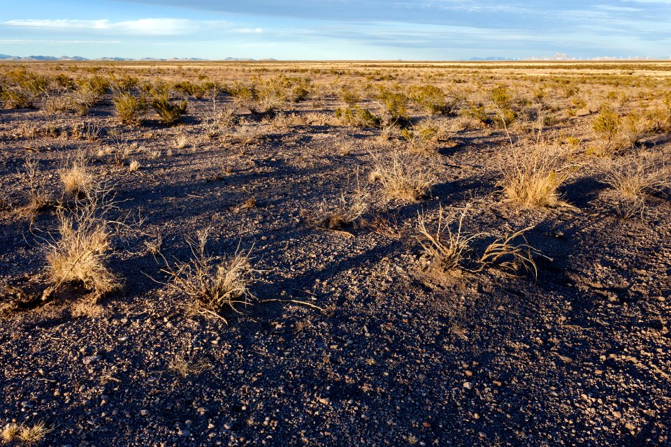 Near Fort Cummings