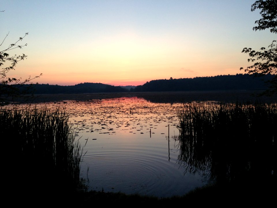 Marshbird Survey Sunrise