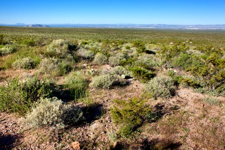 Below Rabbit Ears Canyon