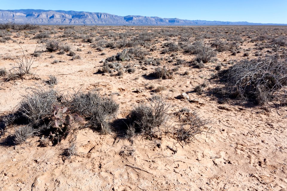 North of Lone Butte