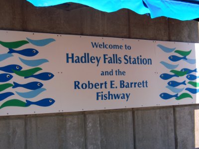 Arrive at at Hadley Falls Station