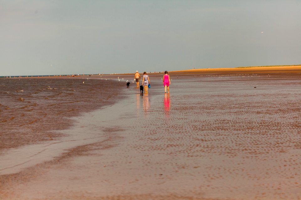 20170828 OldHunstantonBeach 0237