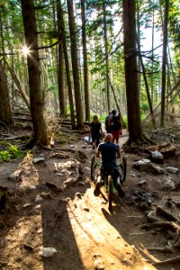 Avalanche Lake Hike with Off-road Wheelchair 15 photo