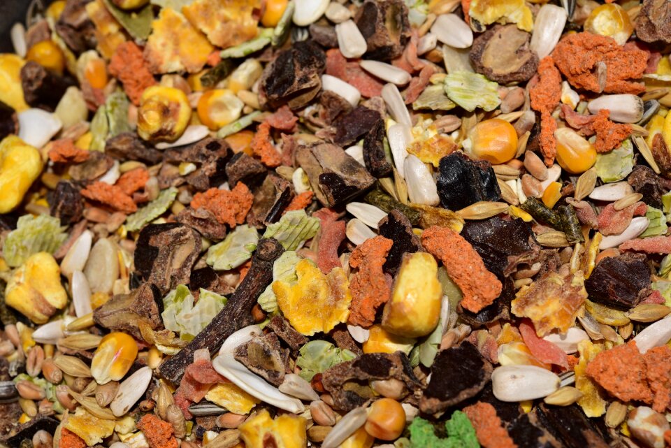 Food breakfast cereals