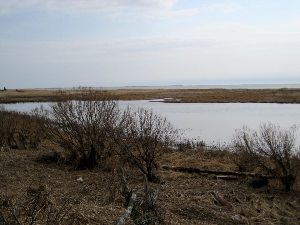 Monomoy National Wildlife Refuge