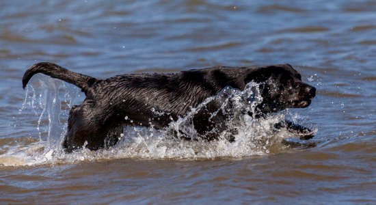 20170828 OldHunstantonBeach 0263