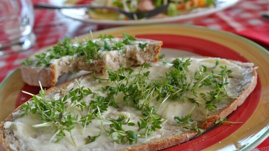 Cress baked goods food
