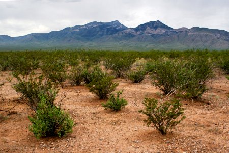 Big Hatchet Mountains