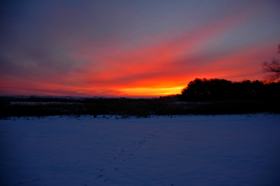 Photo of the week - 2/23/10