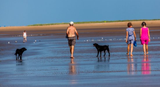 20170828 OldHunstantonBeach 0209