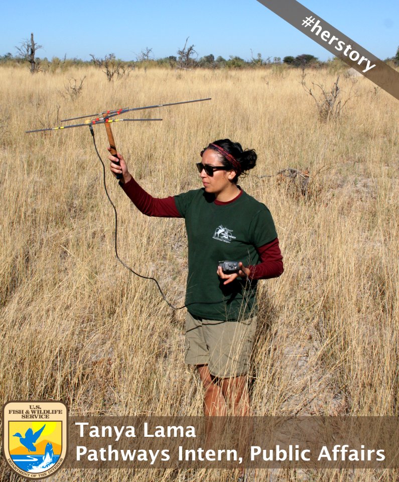 Tanya Lama, #herstory