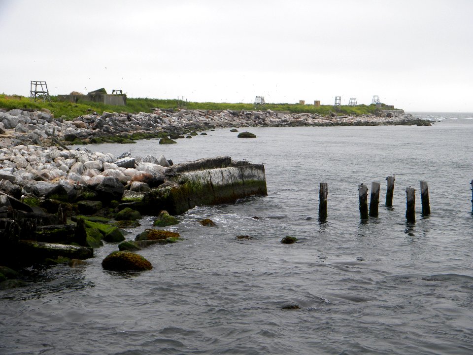 Great Gull Island, NY