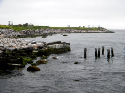 Great Gull Island, NY