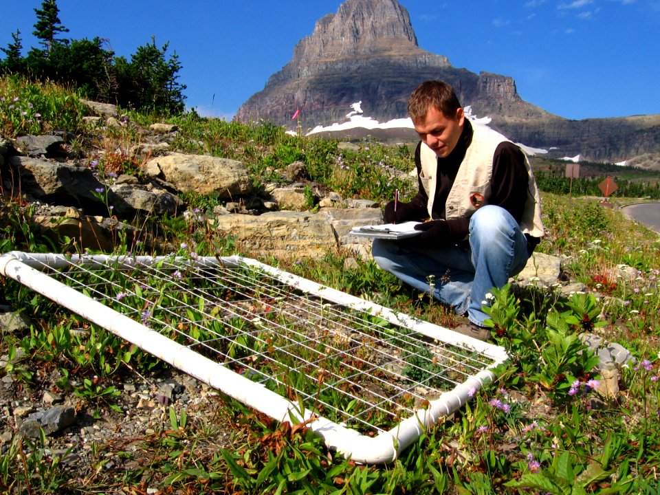 Monitoring alpine vegetation at Logan Pass