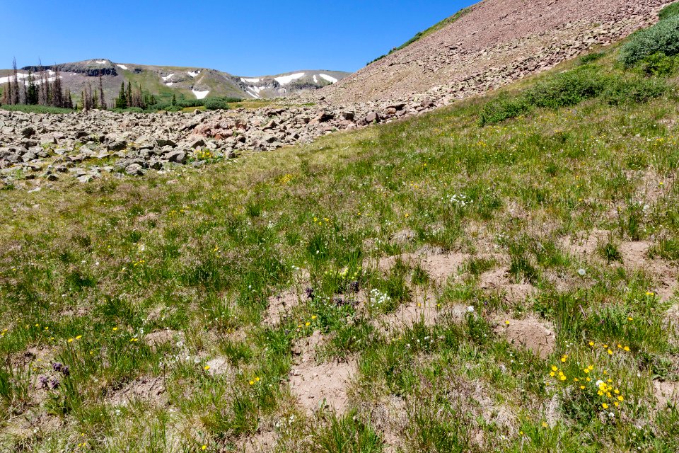 East of Tobacco Lake