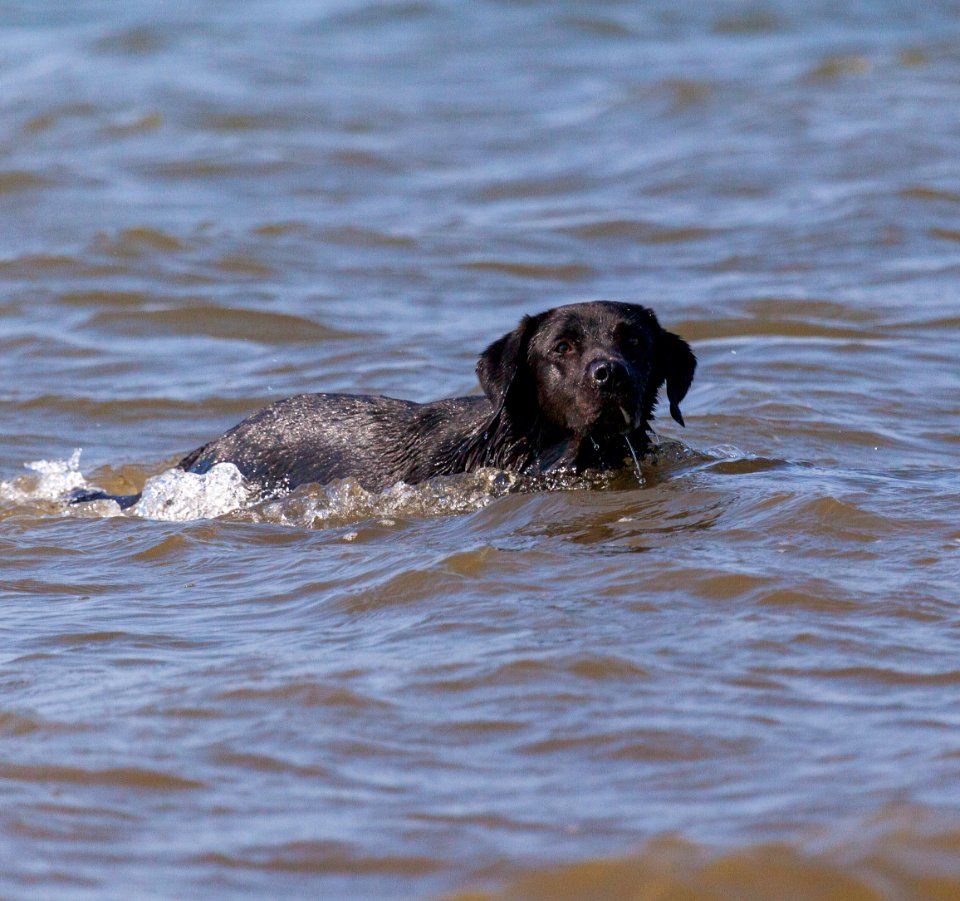 20170828 OldHunstantonBeach 0258