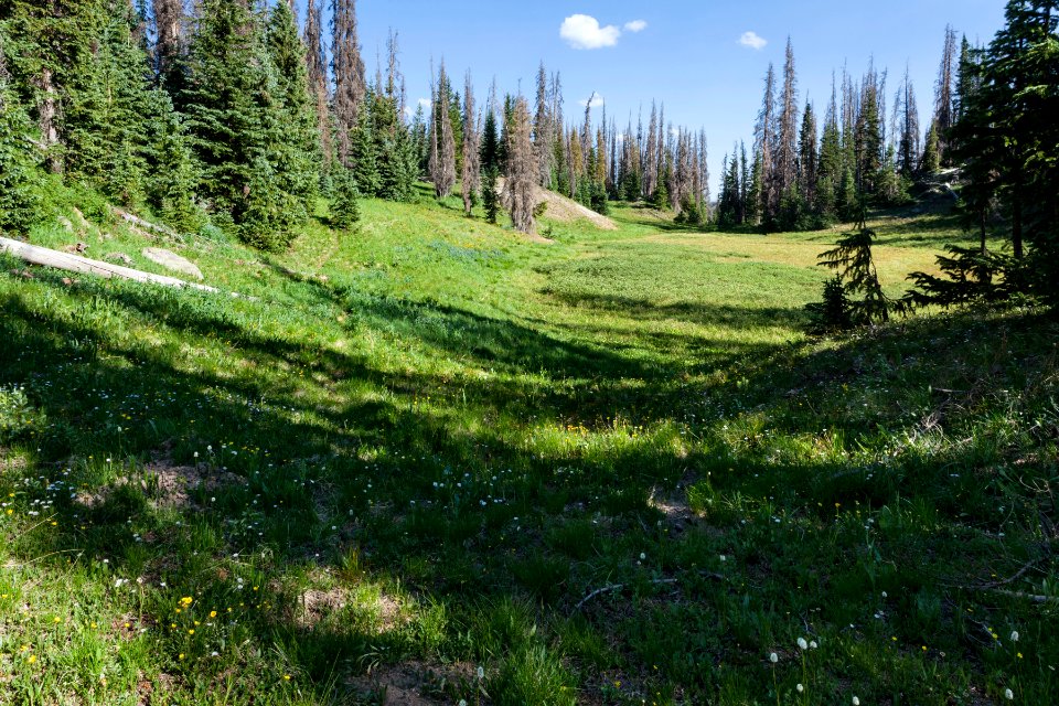 Continental Divide Trail
