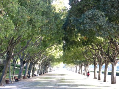 2016-10-19 Lissabon 6065