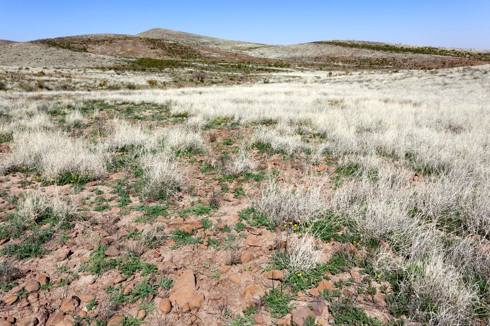 Southeastern Cedar Mountains