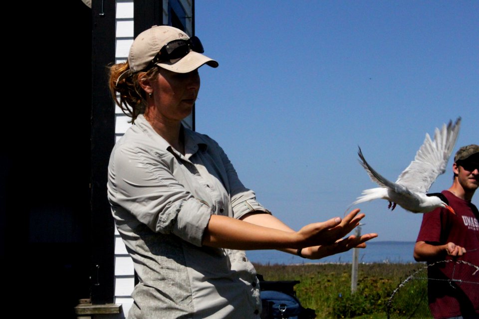 Setting Tern Free
