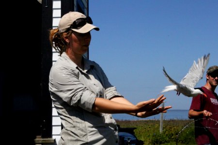 Setting Tern Free