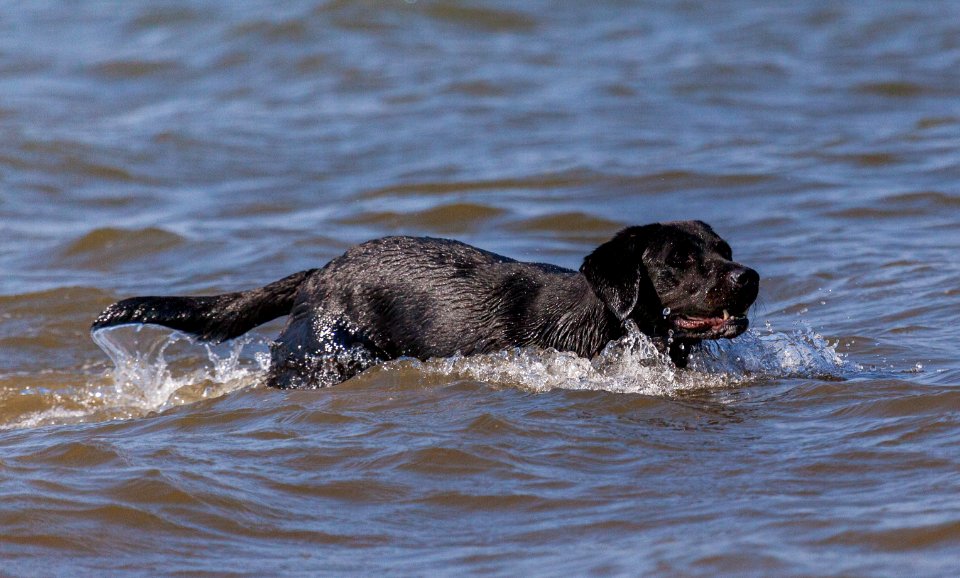 20170828 OldHunstantonBeach 0259