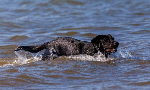 20170828 OldHunstantonBeach 0259