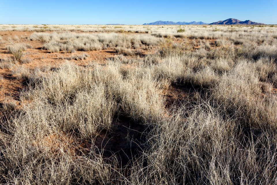 Plains west of Deming