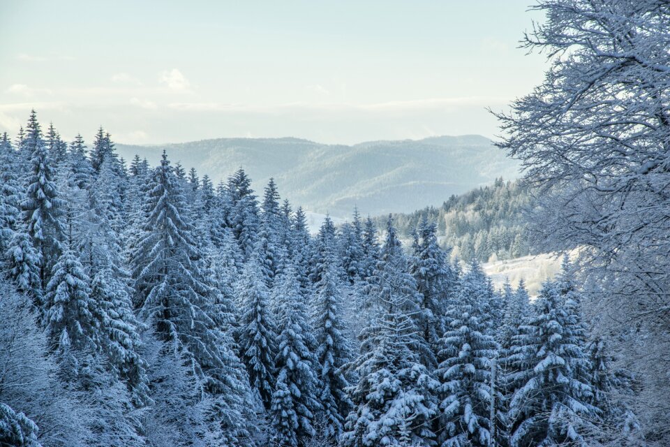 Fairy-tale winter winter landscape first snow