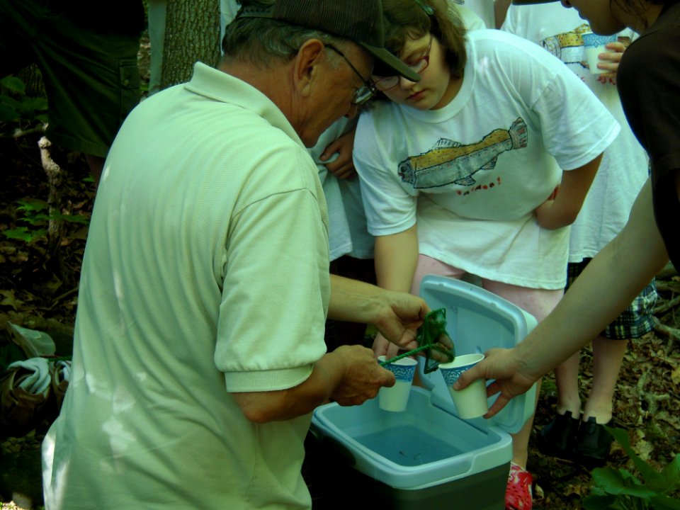 Distributing salmon fry for release