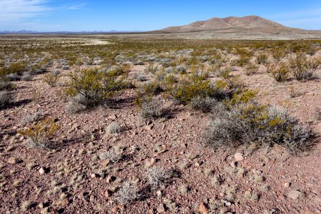 East of Taylor Mountain