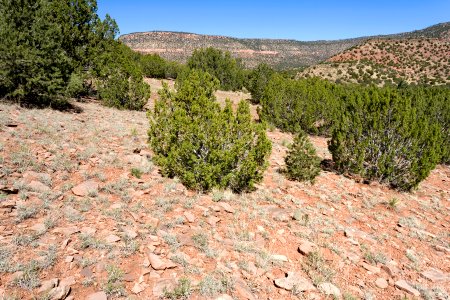 Near Cerro de Corazon
