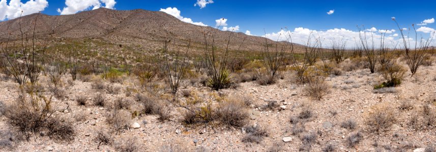 South Sheridan Canyon