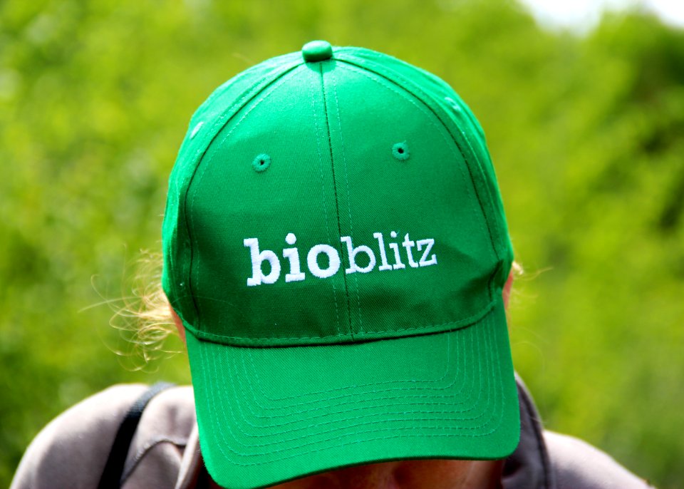 2016 National Parks BioBlitz