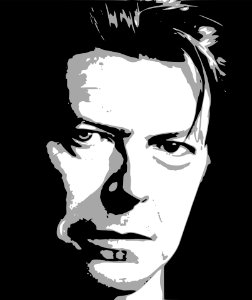 bowie zw CC0 pixabay