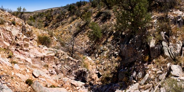 Near Lee Canyon