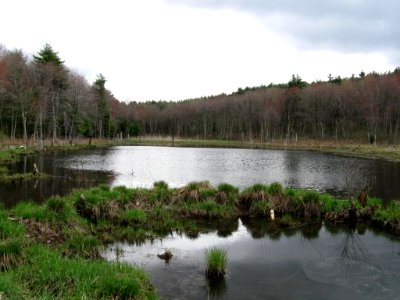 Oxbow National Wildlife Refuge photo