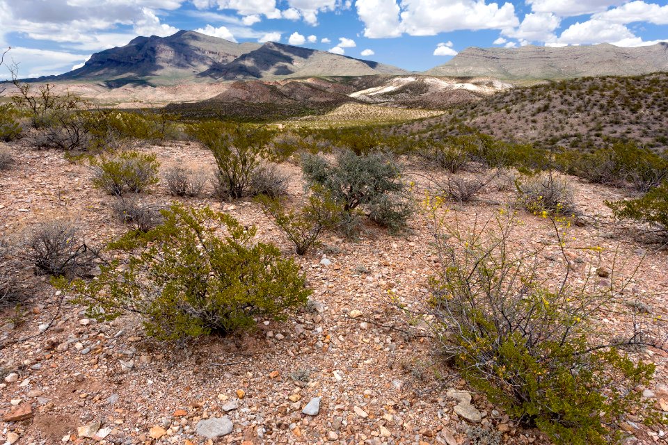 Near Apache Canyon