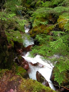 Avalanche Gorge photo